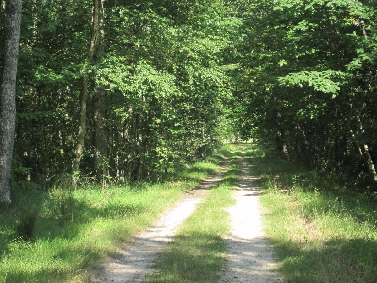 Le Clos Du Cerf - Le Sous-Bois Stoumont Exteriör bild