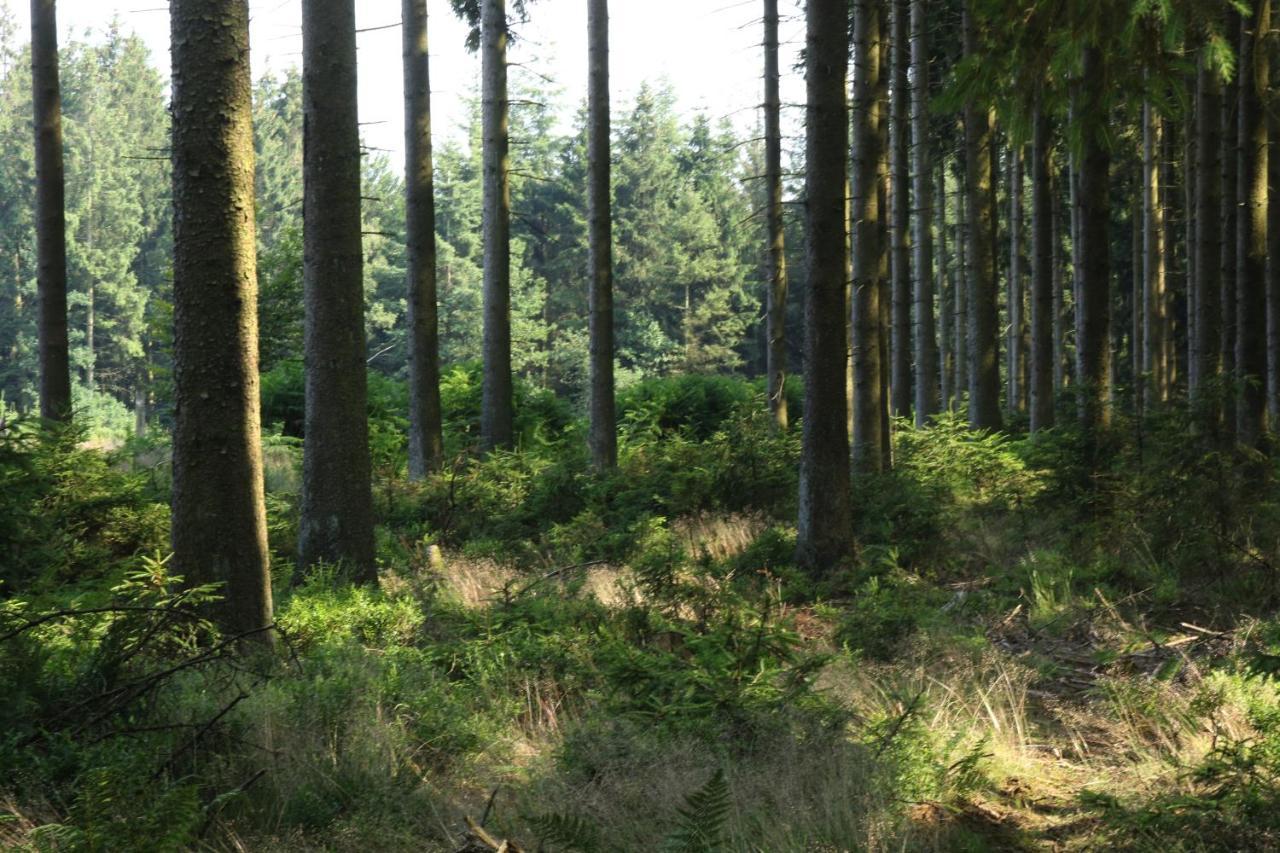 Le Clos Du Cerf - Le Sous-Bois Stoumont Exteriör bild