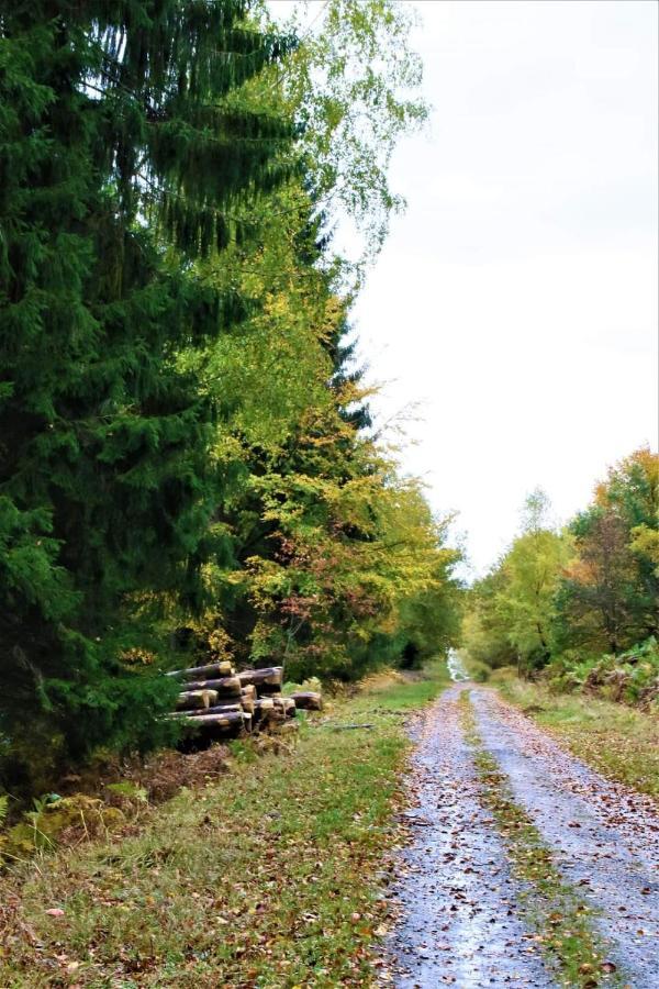 Le Clos Du Cerf - Le Sous-Bois Stoumont Exteriör bild