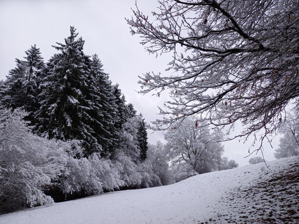 Le Clos Du Cerf - Le Sous-Bois Stoumont Exteriör bild
