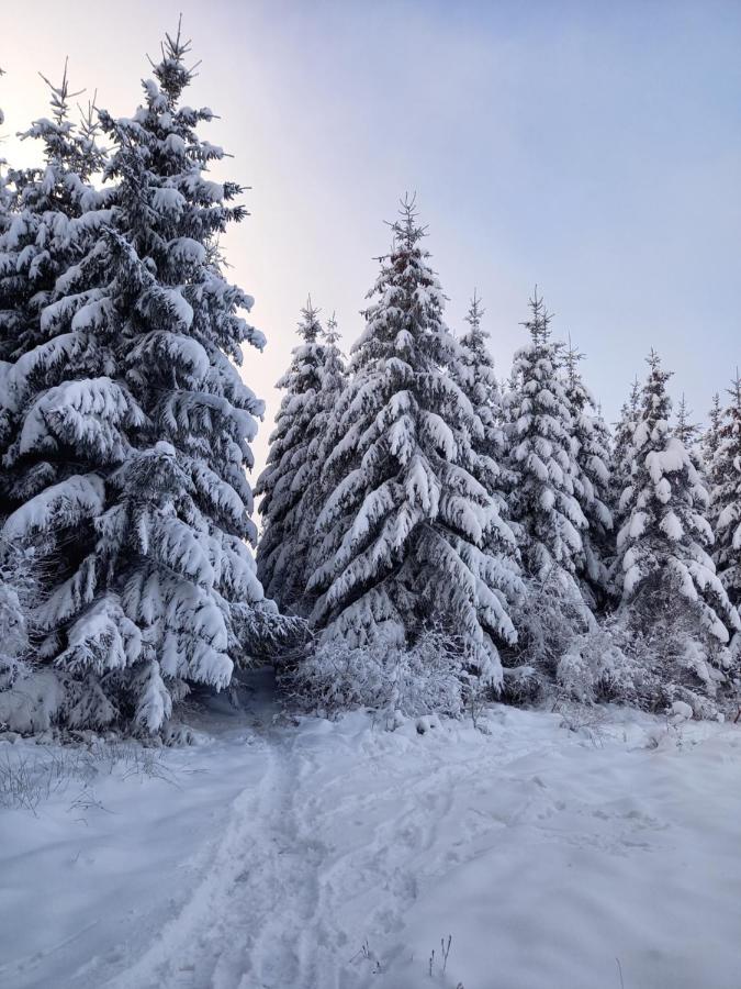Le Clos Du Cerf - Le Sous-Bois Stoumont Exteriör bild
